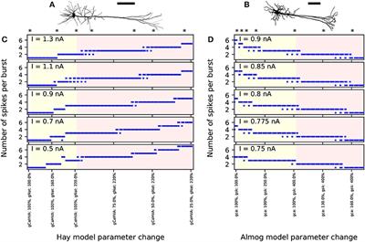 Computational Modeling of Genetic Contributions to Excitability and Neural Coding in Layer V Pyramidal Cells: Applications to Schizophrenia Pathology